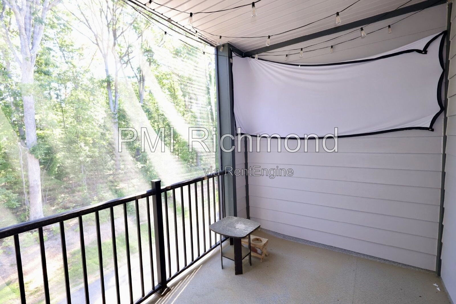 Stunning and Modern 3-Bed Townhome in Midlothian! property image