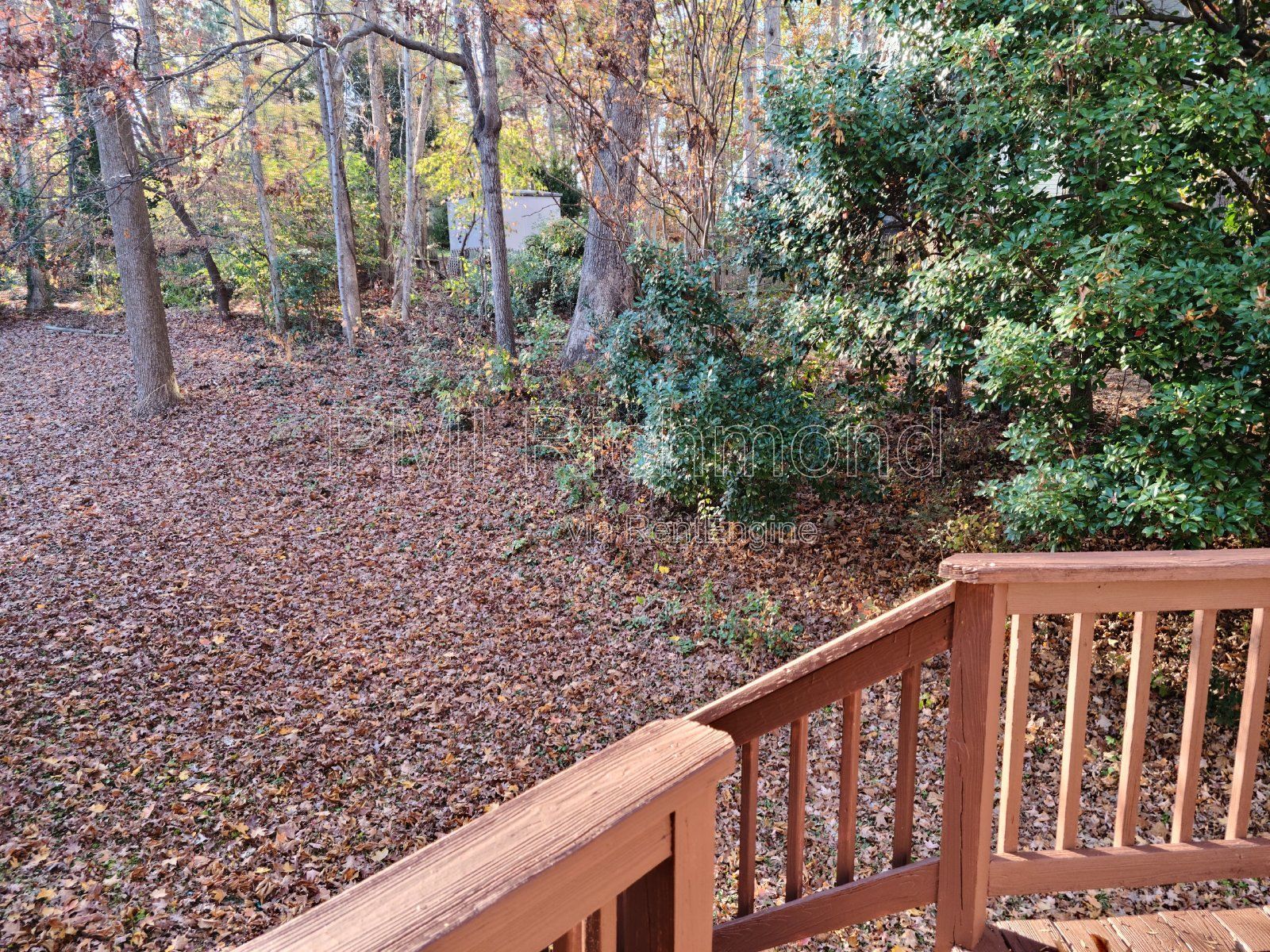 Gorgeous 4-Bedroom Home Located in Midlothian! property image